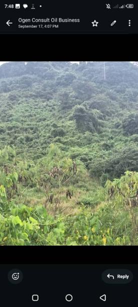 Virgin quarry at Asuaba near Nsawam for sale 70 acre's for $3.5 million-2