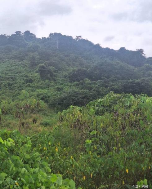 Virgin quarry at Asuaba near Nsawam for sale 70 acre's for $3.5 million-3