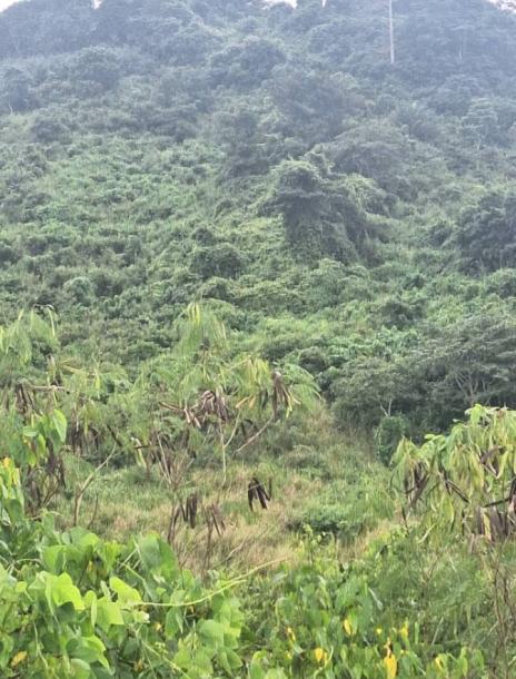 Virgin quarry at Asuaba near Nsawam for sale 70 acre's for $3.5 million-1